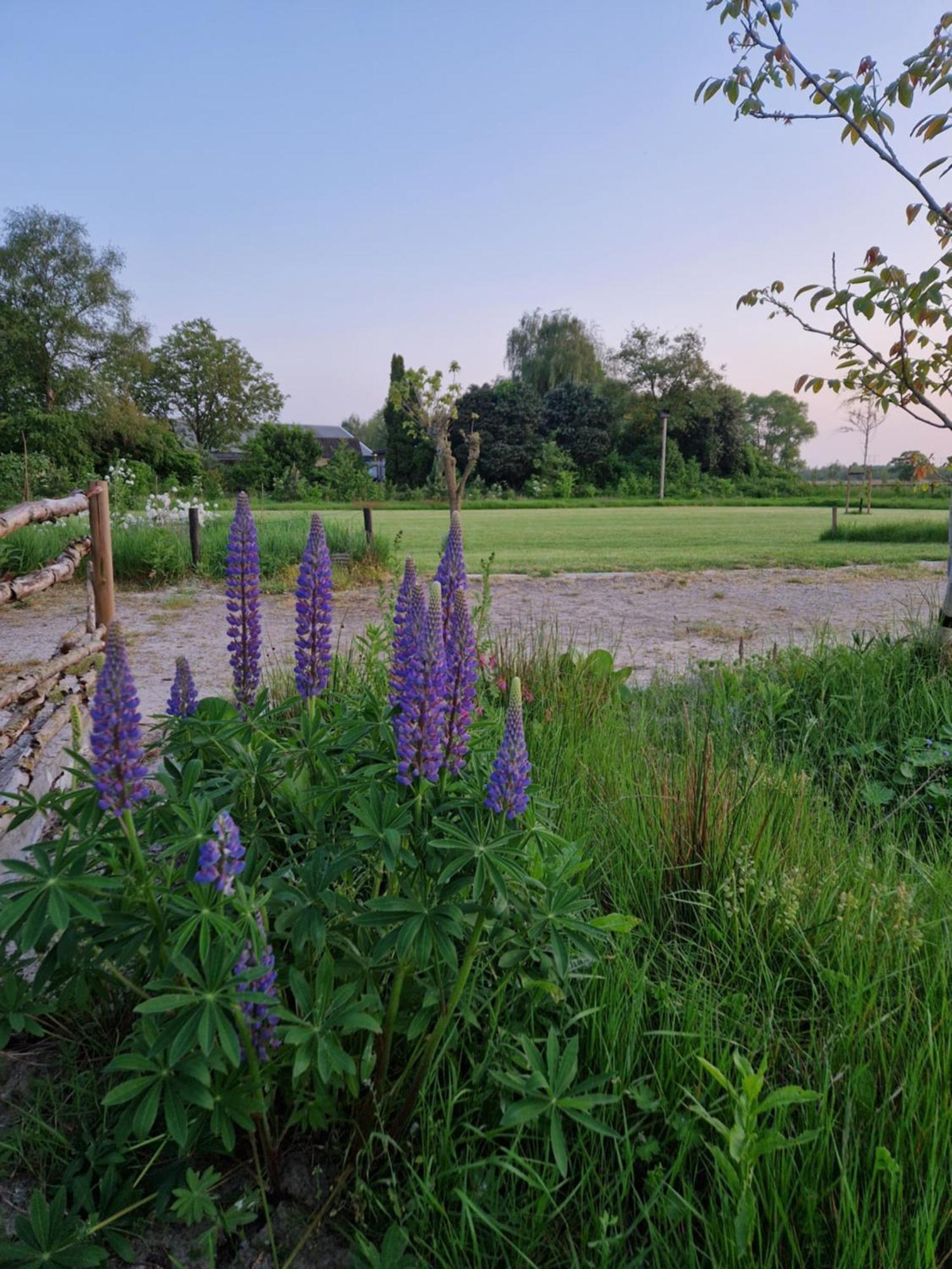 De Wilde Tuin - Tuinkamer Moergestel Exterior foto